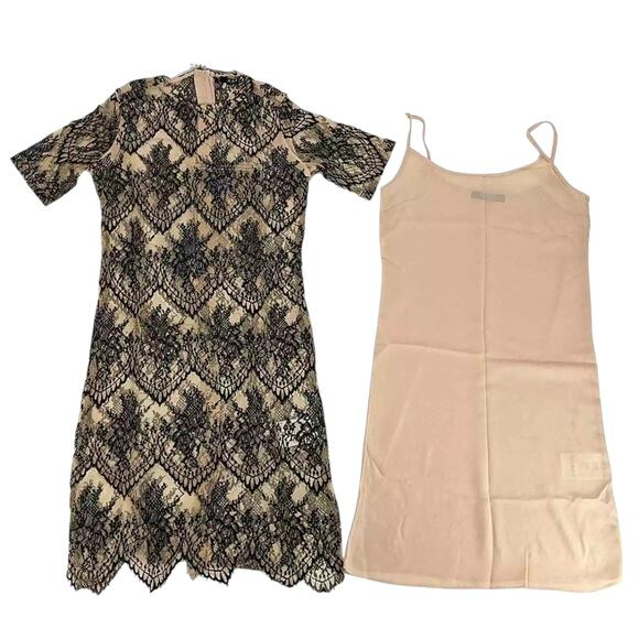Caara Scalloped Lace Shift Dress Black Beige Size Medium NWT - Picture 8 of 9